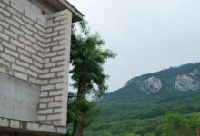 Photo of Дом из ракушечника: экзотический вариант