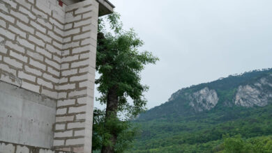 Photo of Дом из ракушечника: экзотический вариант